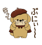 プードルさん 2025 「ベレー帽さん」秋（個別スタンプ：13）
