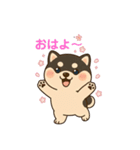 シバ太郎さん（個別スタンプ：1）