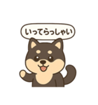 シバ太郎さん（個別スタンプ：3）