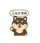 シバ太郎さん（個別スタンプ：6）
