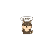 シバ太郎さん（個別スタンプ：13）