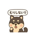 シバ太郎さん（個別スタンプ：15）