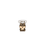 シバ太郎さん（個別スタンプ：16）