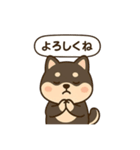 シバ太郎さん（個別スタンプ：17）