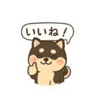 シバ太郎さん（個別スタンプ：20）