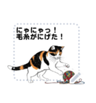 Ball of yarn and happy cat (JP)（個別スタンプ：16）