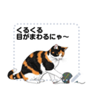Ball of yarn and happy cat (JP)（個別スタンプ：24）