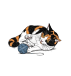 糸束と猫（個別スタンプ：29）