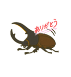 カブタロウの日常（個別スタンプ：1）