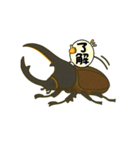 カブタロウの日常（個別スタンプ：7）