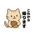 茶トラ猫の秋の日常スタンプ（個別スタンプ：9）