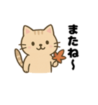 茶トラ猫の秋の日常スタンプ（個別スタンプ：11）