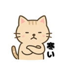 茶トラ猫の秋の日常スタンプ（個別スタンプ：16）