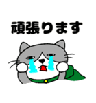 進撃するデブ猫【了解スタンプ】（個別スタンプ：11）