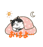 ハチワレMIRUさんc（個別スタンプ：1）