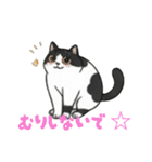 ハチワレMIRUさんc（個別スタンプ：6）