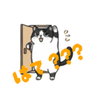 ハチワレMIRUさんc（個別スタンプ：7）