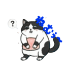 ハチワレMIRUさんc（個別スタンプ：8）