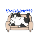 ハチワレMIRUさんc（個別スタンプ：11）