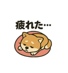 お疲れ豆しば 頑張って！BIGスタンプ（個別スタンプ：3）