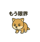 お疲れ豆しば 頑張って！BIGスタンプ（個別スタンプ：8）