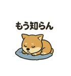 お疲れ豆しば 頑張って！BIGスタンプ（個別スタンプ：10）