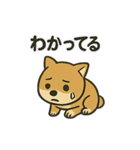 お疲れ豆しば 頑張って！BIGスタンプ（個別スタンプ：11）