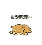 お疲れ豆しば 頑張って！BIGスタンプ（個別スタンプ：13）