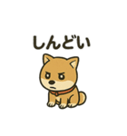 お疲れ豆しば 頑張って！BIGスタンプ（個別スタンプ：21）