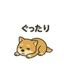お疲れ豆しば 頑張って！BIGスタンプ（個別スタンプ：23）