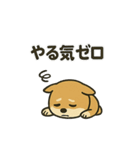 お疲れ豆しば 頑張って！BIGスタンプ（個別スタンプ：24）
