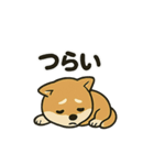 お疲れ豆しば 頑張って！BIGスタンプ（個別スタンプ：26）
