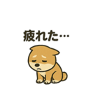 お疲れ豆しば 頑張って！BIGスタンプ（個別スタンプ：36）