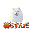犬味 暮らすんだ（個別スタンプ：1）