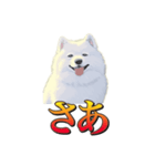 犬味 暮らすんだ（個別スタンプ：2）