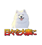 犬味 暮らすんだ（個別スタンプ：3）