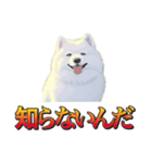 犬味 暮らすんだ（個別スタンプ：9）