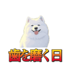 犬味 暮らすんだ（個別スタンプ：14）