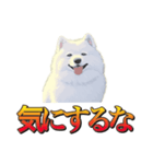 犬味 暮らすんだ（個別スタンプ：16）