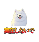 犬味 暮らすんだ（個別スタンプ：18）