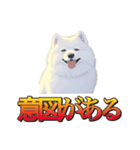 犬味 暮らすんだ（個別スタンプ：23）