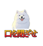 犬味 暮らすんだ（個別スタンプ：31）