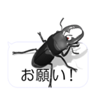 スマホの上のヒラタクワガタ2（個別スタンプ：1）