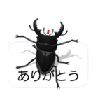 スマホの上のヒラタクワガタ2（個別スタンプ：3）