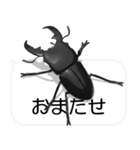 スマホの上のヒラタクワガタ2（個別スタンプ：5）