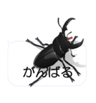 スマホの上のヒラタクワガタ2（個別スタンプ：15）