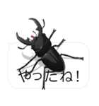 スマホの上のヒラタクワガタ2（個別スタンプ：16）