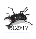 スマホの上のヒラタクワガタ2（個別スタンプ：18）