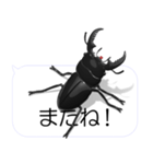 スマホの上のヒラタクワガタ2（個別スタンプ：19）