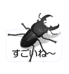 スマホの上のヒラタクワガタ2（個別スタンプ：20）